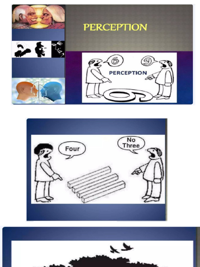 Perception 2222 | PDF