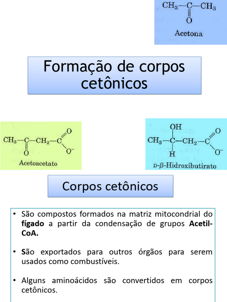 Formação de Corpos Cetônicos no Fígado | PDF | Biomoléculas | Compostos ...