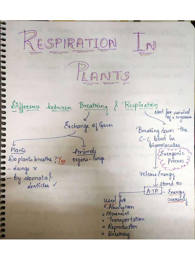 Botany Notes Respiration | PDF