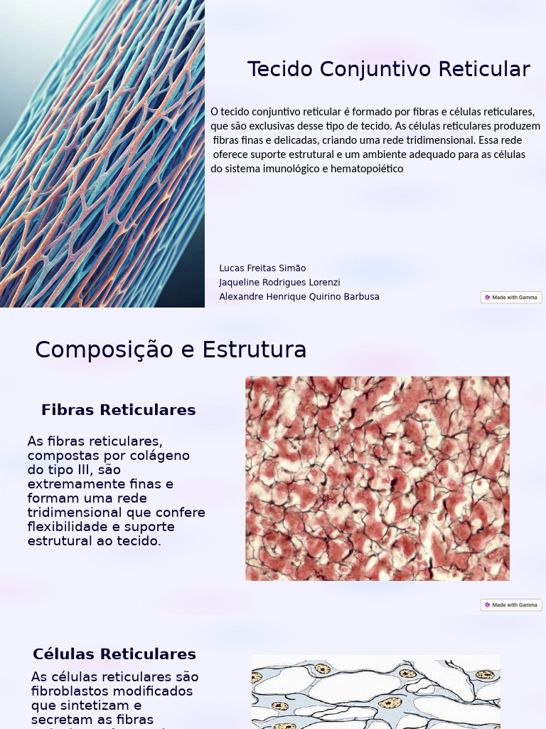 Tecido Conjuntivo Reticular 4 (2) | PDF | Tecido conjuntivo | Hematopoiese