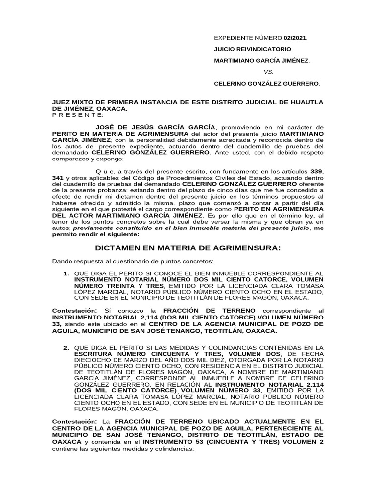 Dictamen Pericial en Agrimensura | PDF