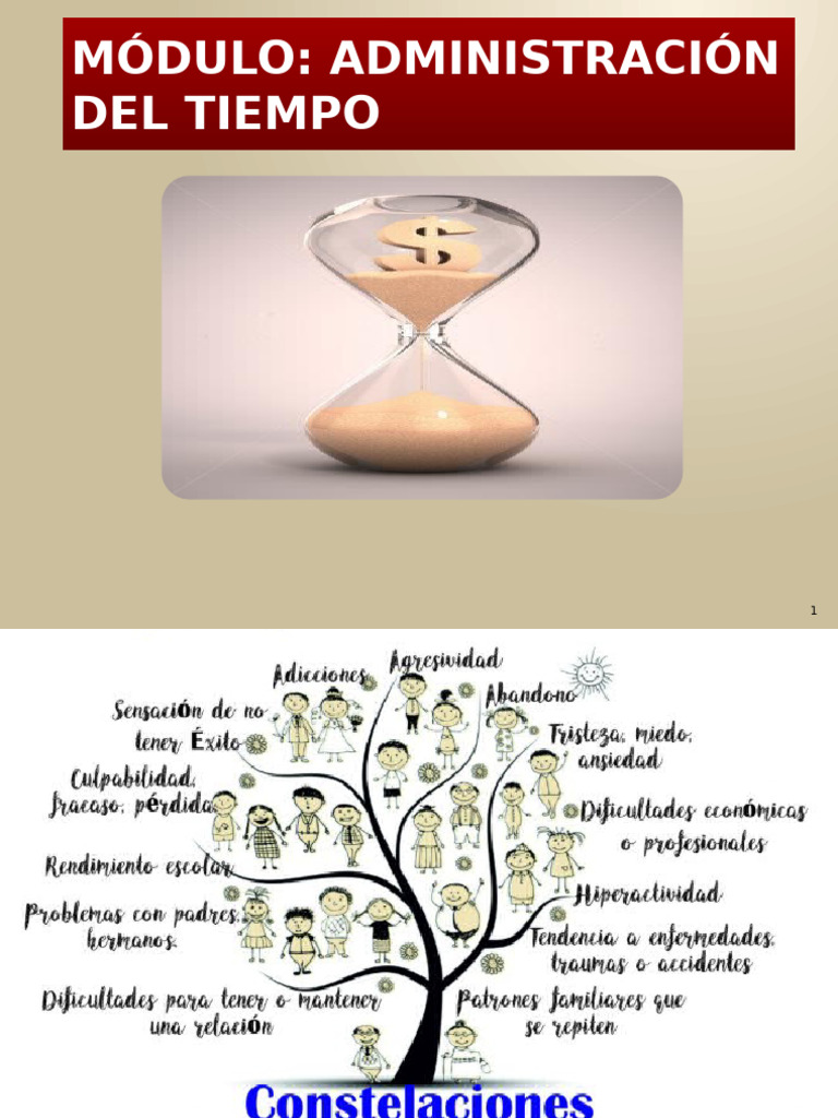Técnicas y Leyes para Optimizar el Tiempo | PDF | Liderazgo