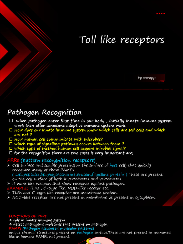 Toll Like Receptors Presentation by Somayya | PDF | Toll Like Receptor ...