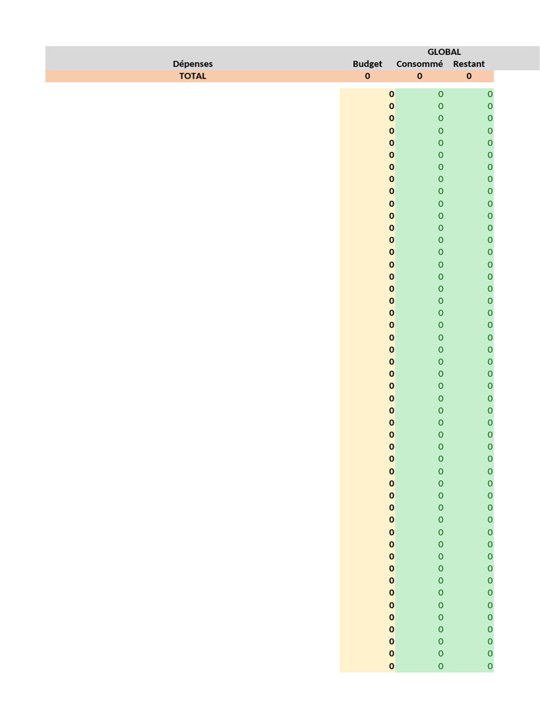 Budget and Expense Overview Report | PDF