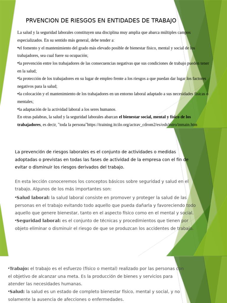 Prevención de Riesgos Laborales Efectiva | PDF | Seguridad y salud ...