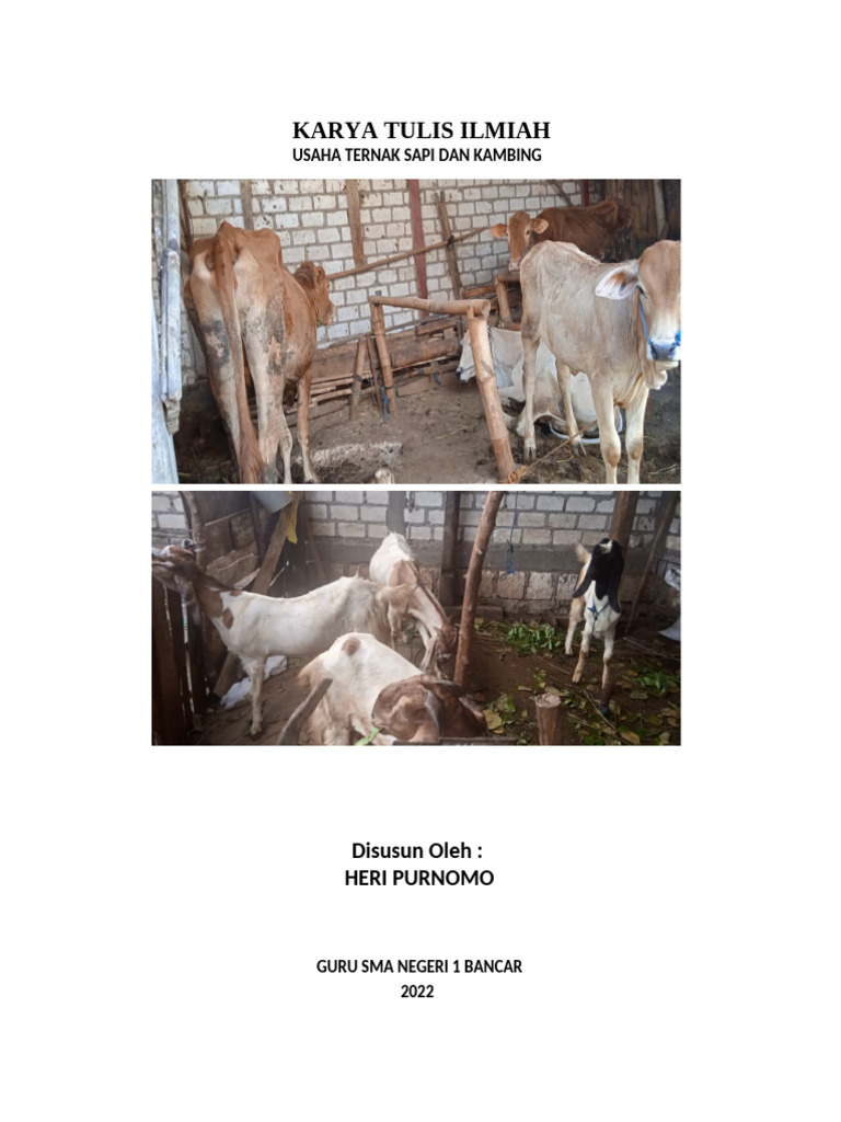 Usaha Ternak Sapi dan Kambing Sederhana | PDF