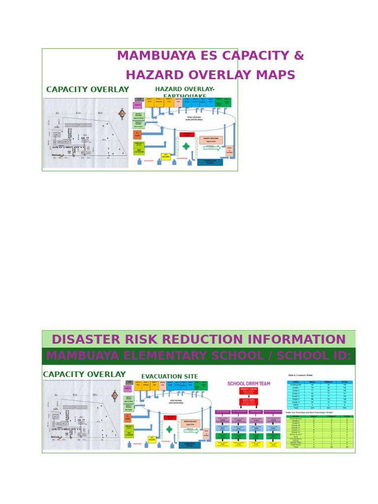 Mambuaya Capacity & Hazard Maps | PDF
