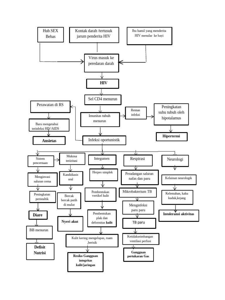 Alur HIV | PDF