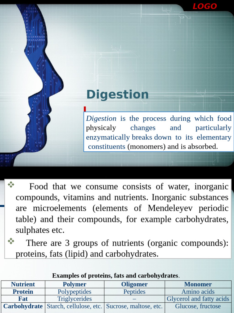 Digestive Enzymes and Their Functions | PDF | Stomach | Digestion