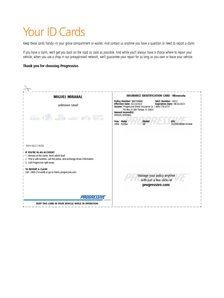 ID Card Insurance | PDF