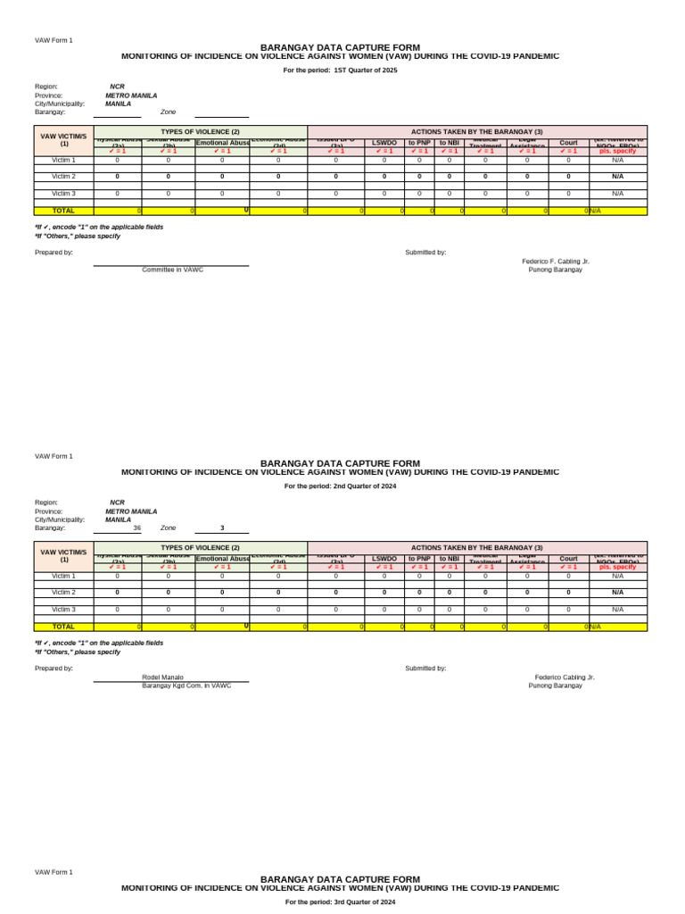 VAW - Barangay Data Capture Form | PDF | Psychological Abuse | Violence