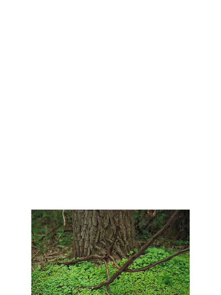 Lecture+%232+ +Variation+in+Plants | PDF | Genotype | Phenotype