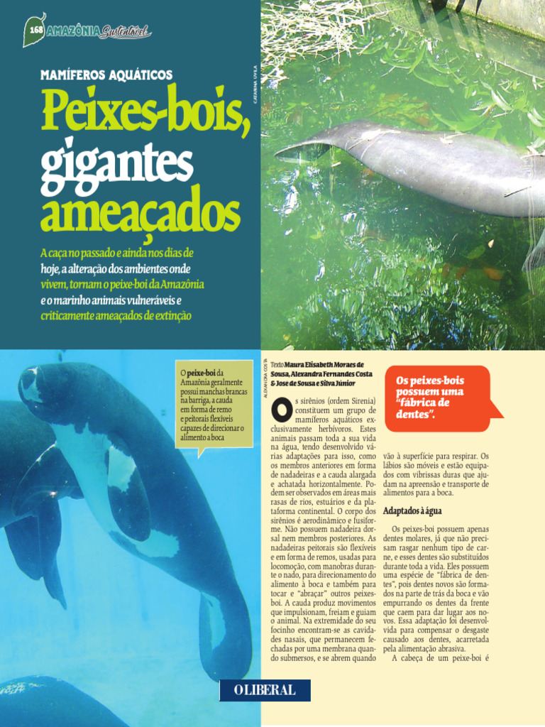 Peixes-bois: Características e Ameaças | PDF