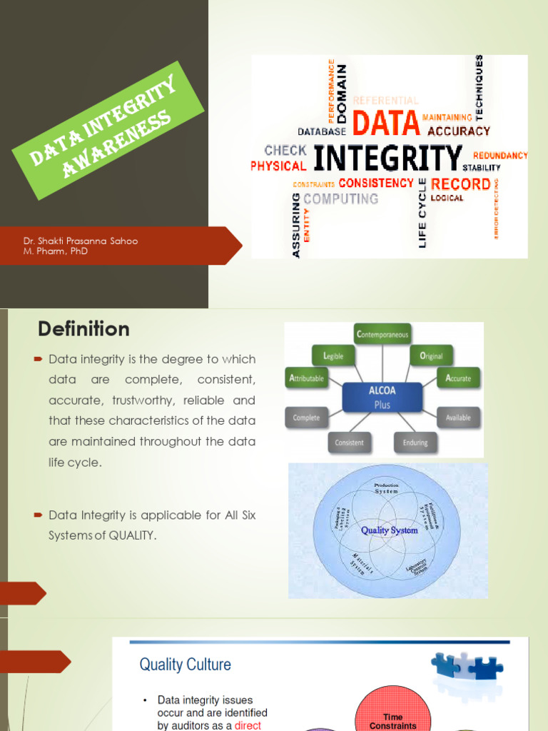 Data Integrity Risk Assessment Guide | PDF | Computing