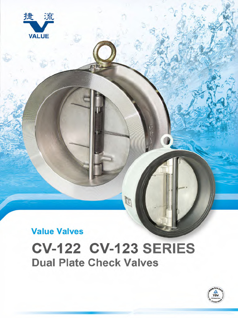Dual Plate Check Valve Installation Guide | PDF | Valve | Pipe (Fluid ...