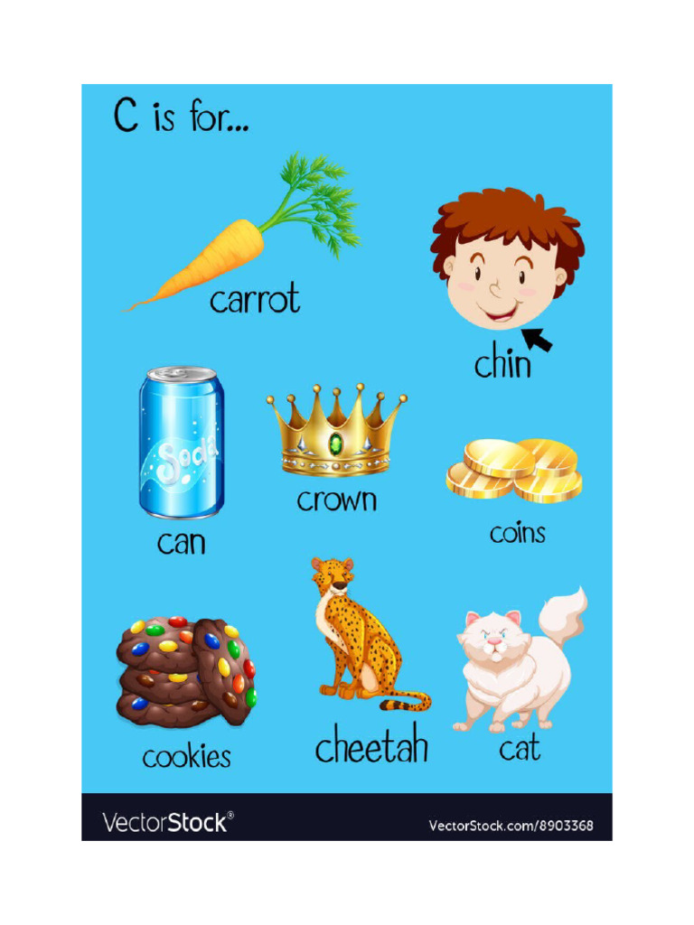 C Words | PDF