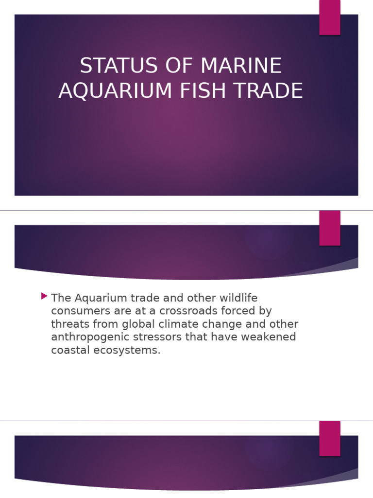 Marine Aquarium Fish Trade Overview | PDF