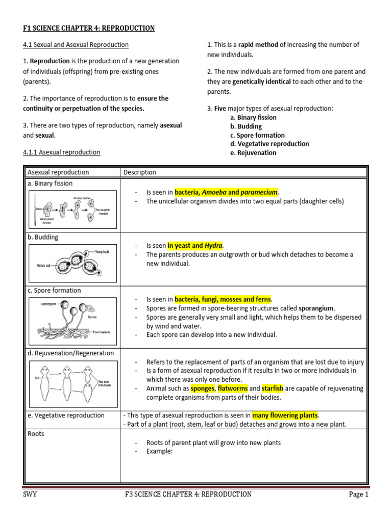 F1 Science Chapter 4 2023 | PDF | Fertilisation | Flowers