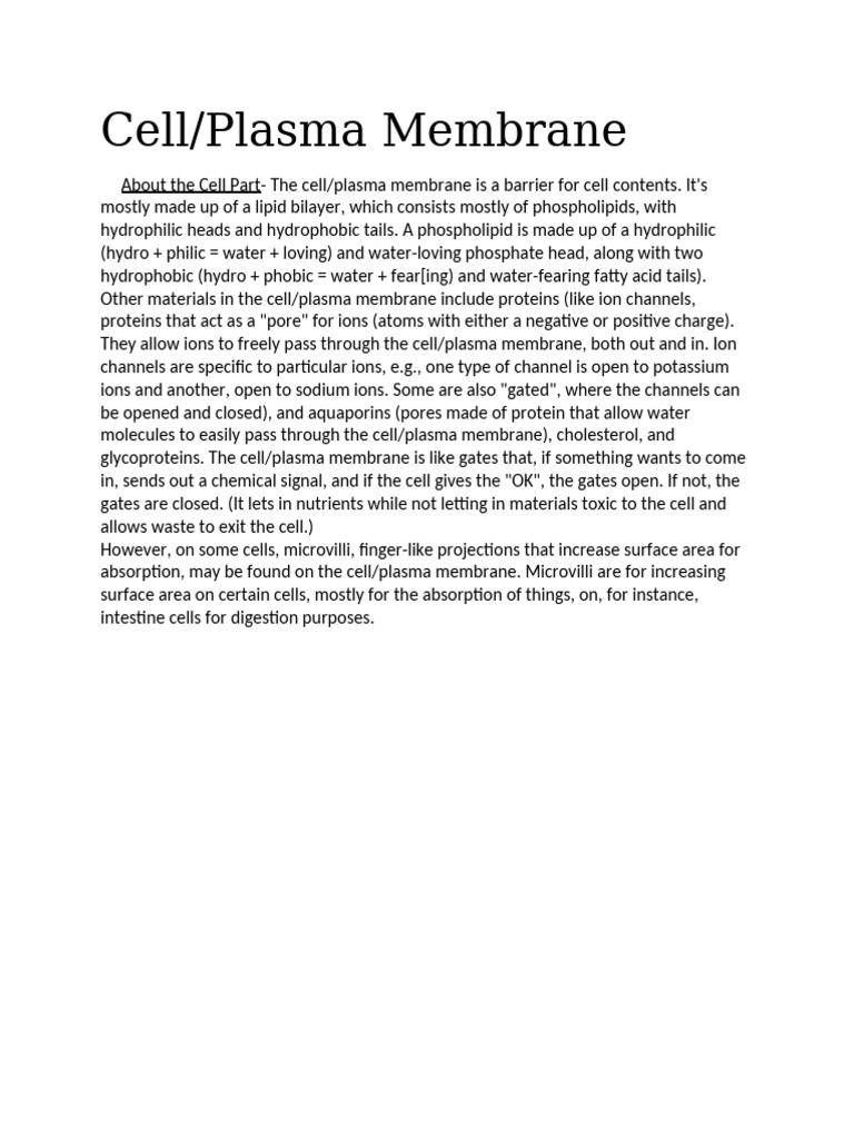 Understanding Cell Plasma Membrane Structure Pdf