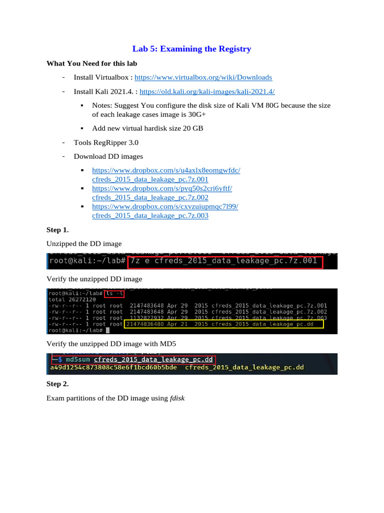 Registry Examination Lab Guide | PDF