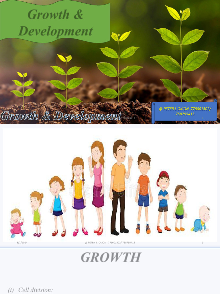 Growth and Development in Biology | PDF | Mitosis | Plant Stem