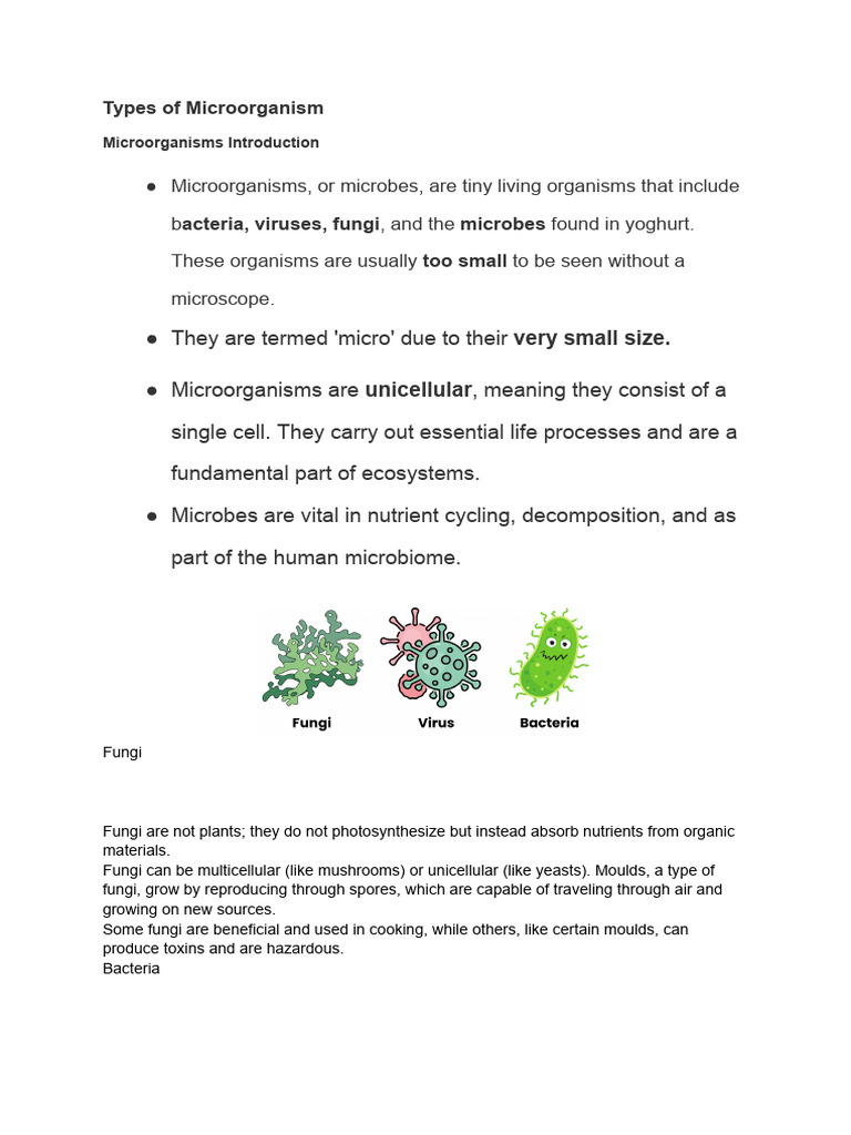 Types of Microorganism | PDF | Microorganism | Mold