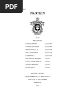 Download Makalah Biokimia Protein by Marini Amalia SN82508422 doc pdf