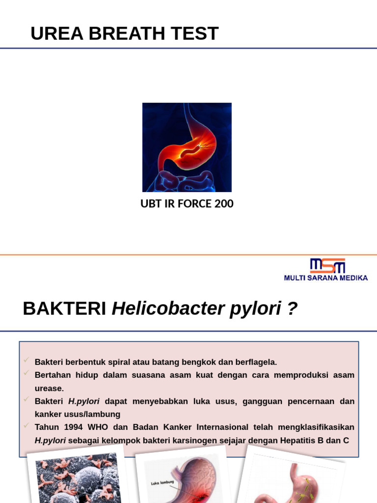 UBT Prensentasi 2022 | PDF