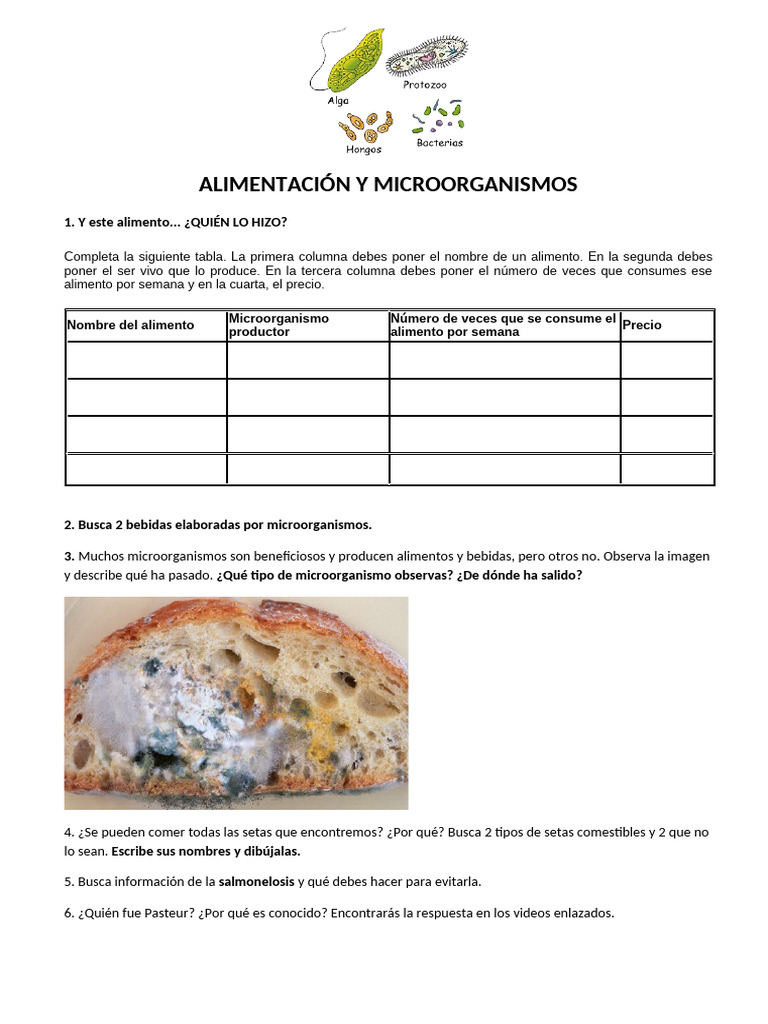 Microorganismos en Alimentos y Bebidas | PDF