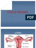 Ciclo Sexual