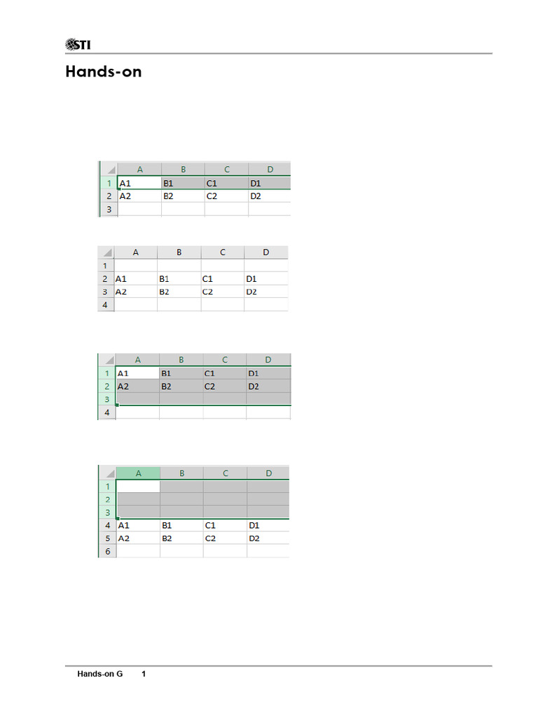 Advanced Spreadsheet Features Guide | PDF | Worksheet | Computing
