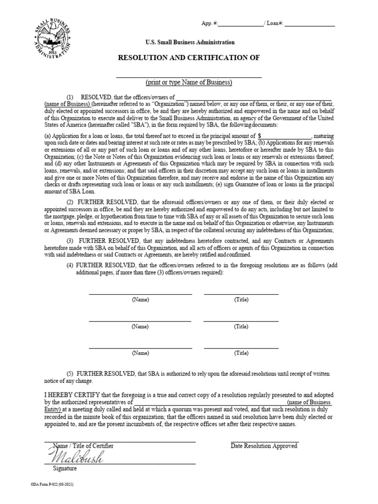 Sean Form | PDF | Loans | Small Business Administration