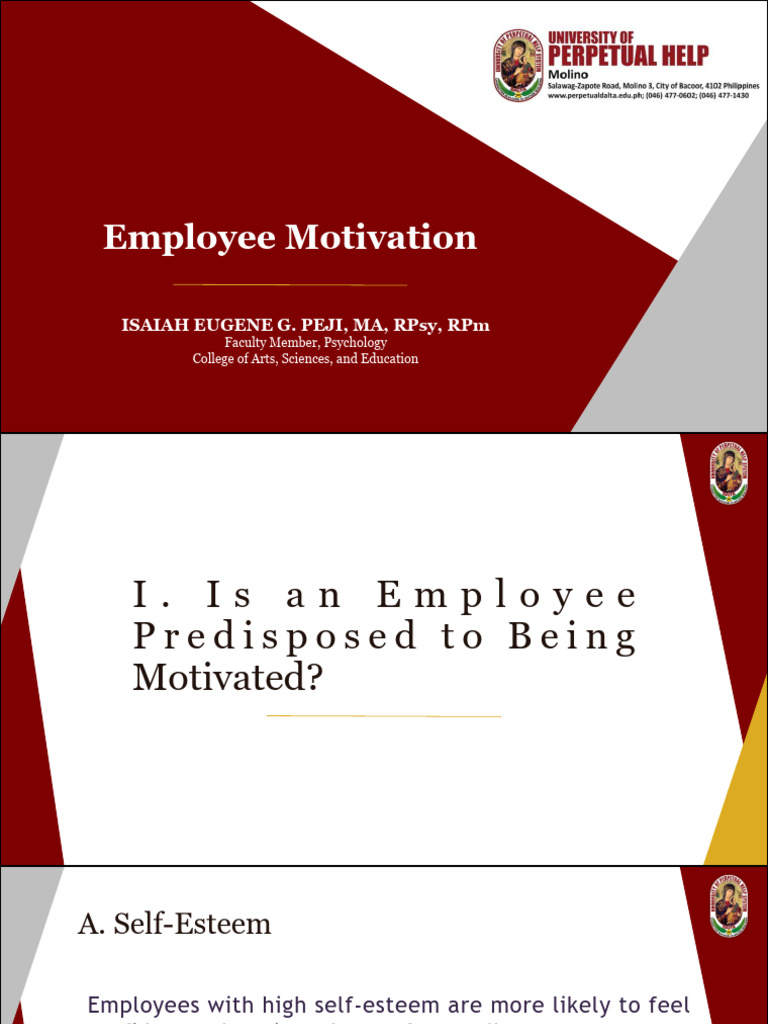 Employee Motivation Strategies | PDF | Incentive | Motivational