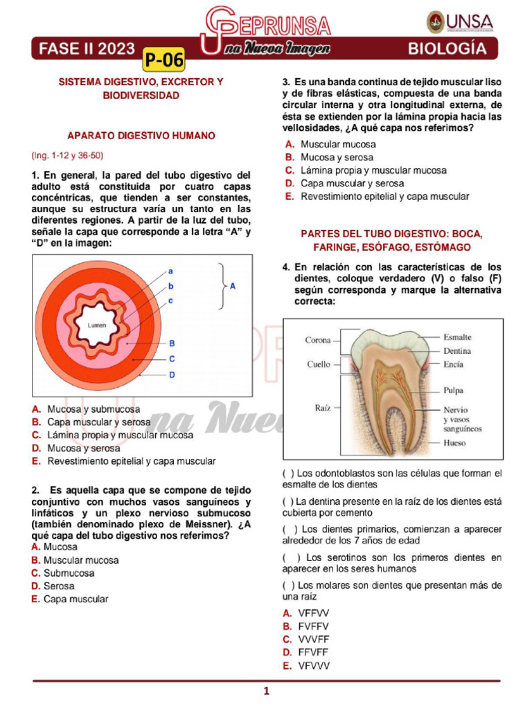 P - 06 Biología Ceprunsa 2da Fase | PDF