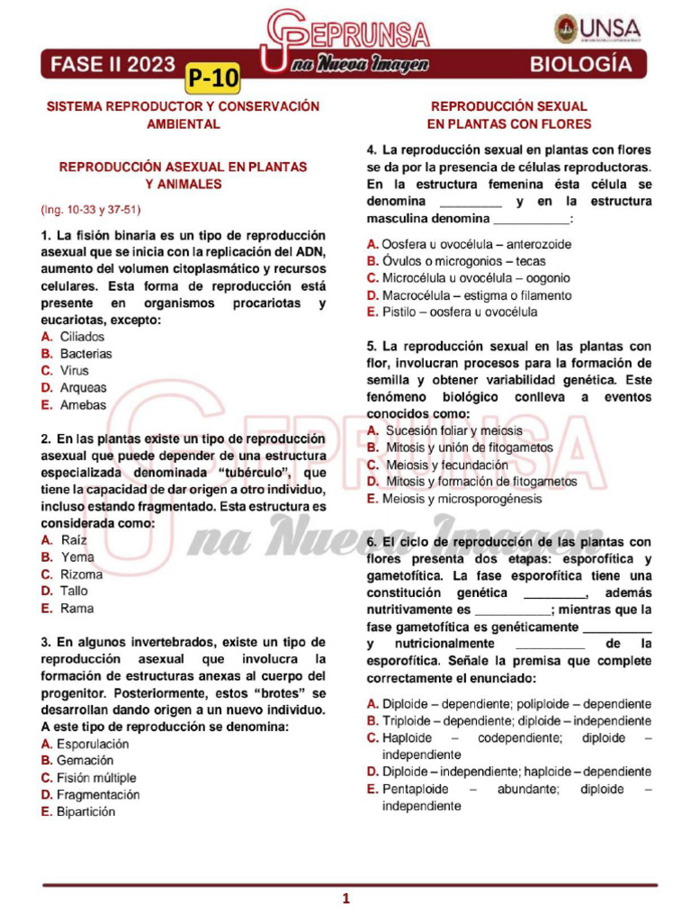 P - 10 Biología Ceprunsa 2da Fase | PDF