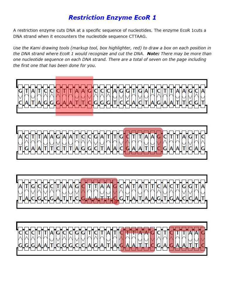 Aiva Tower - Restriction Enzyme EcoR 1 | PDF