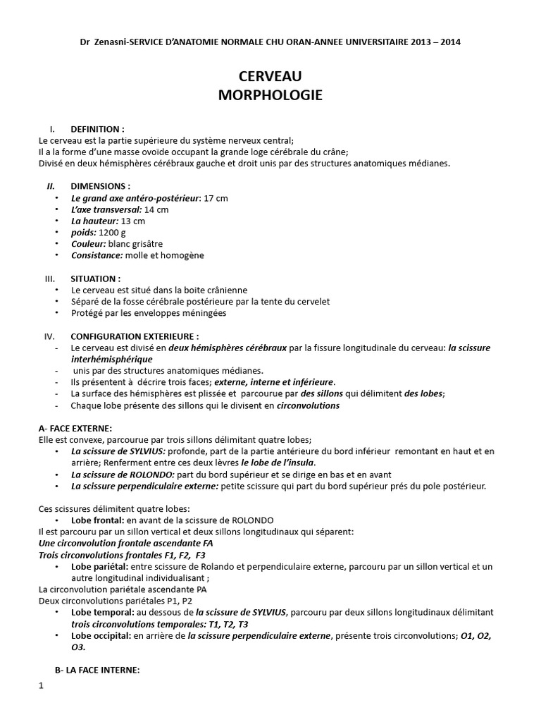 Morphologie et Anatomie du Cerveau | PDF | Circonvolution cérébrale ...