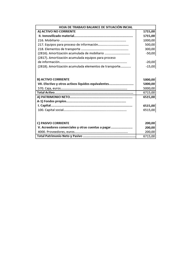 Balance de Situación Inicial Detallado | PDF | Hoja de balance | Valor neto