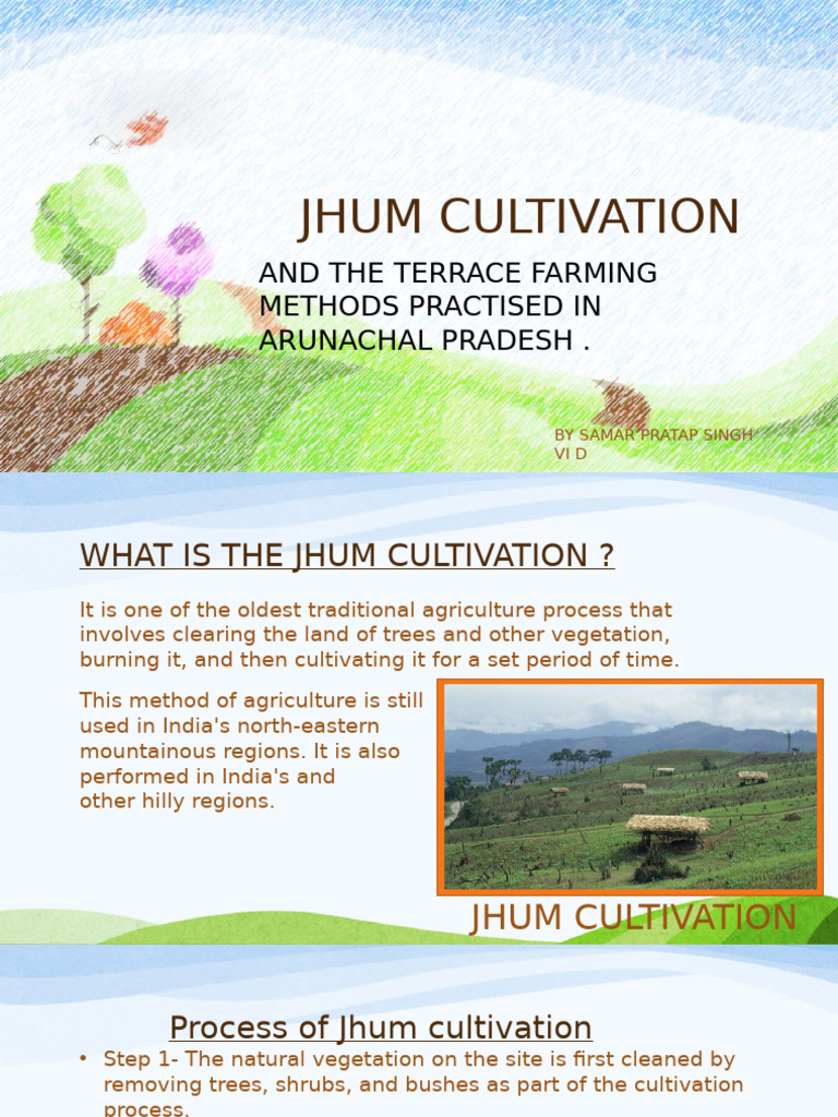 Jhum Cultivation | PDF | Agriculture | Soil