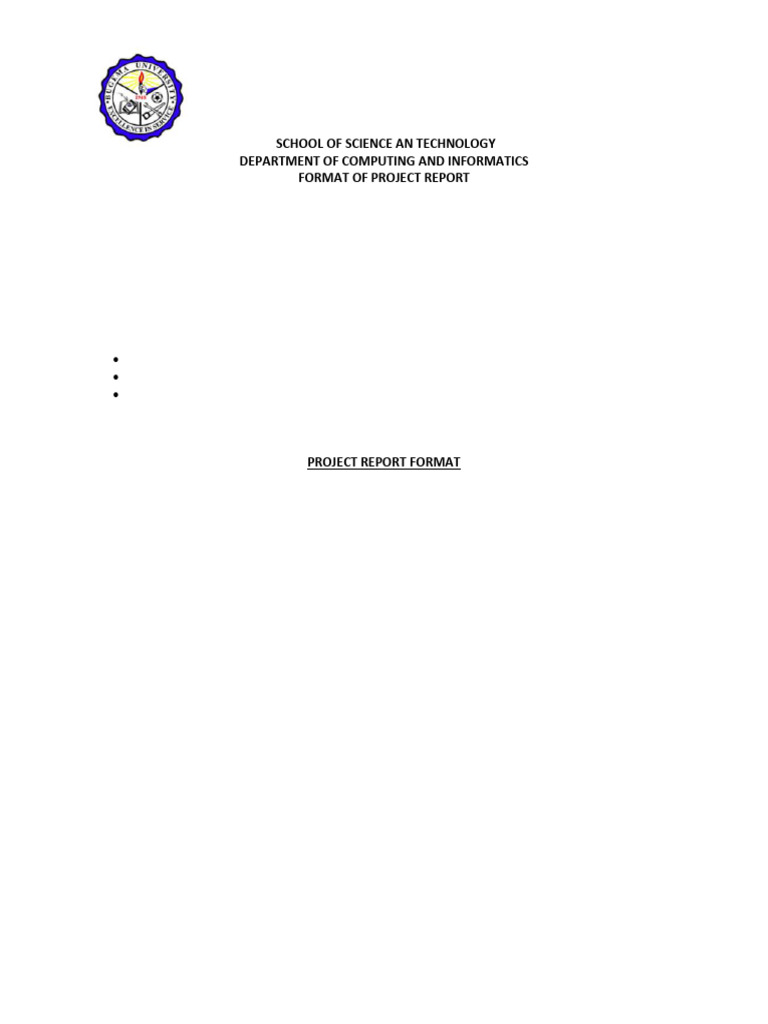 Final Project Report 2025 | PDF | Software Testing | Computer Science