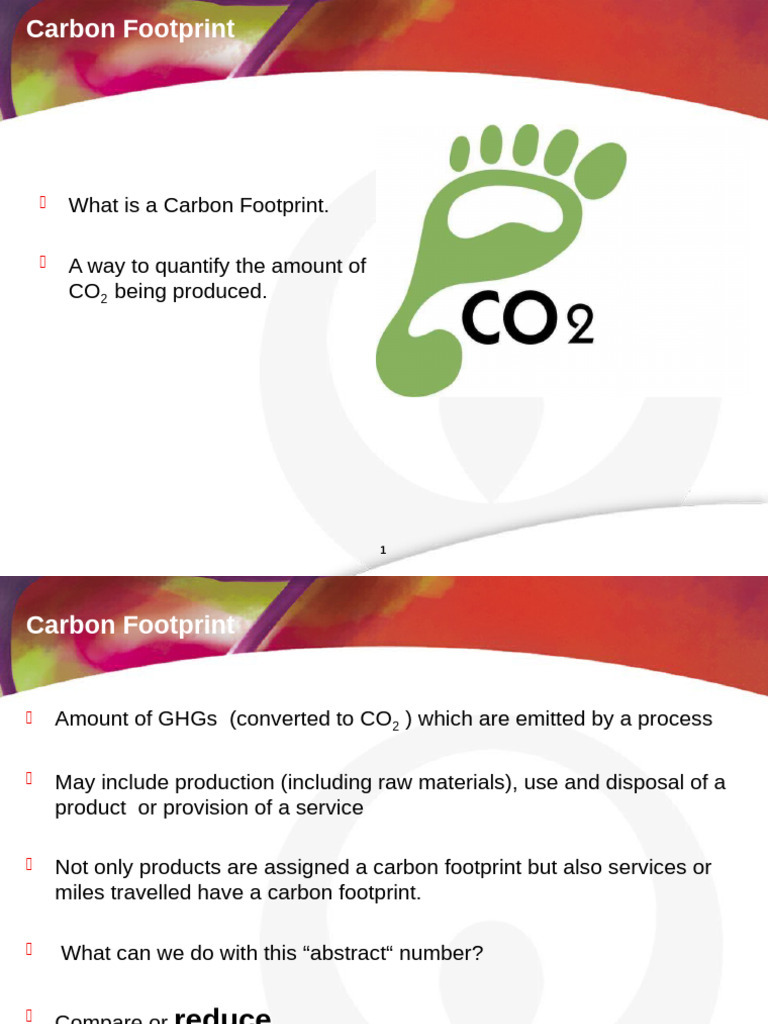 Understanding Carbon Footprints and Credits | PDF | Carbon Footprint ...