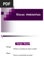 aula+5+Riscos+Ambientais