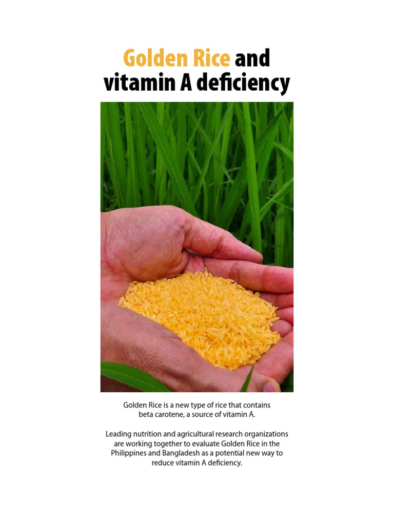Golden Rice: A Solution for Vitamin A Deficiency | PDF | Vitamin A ...