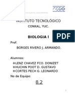 Angiospermas Dicotiledóneas y Monocotiledóneas