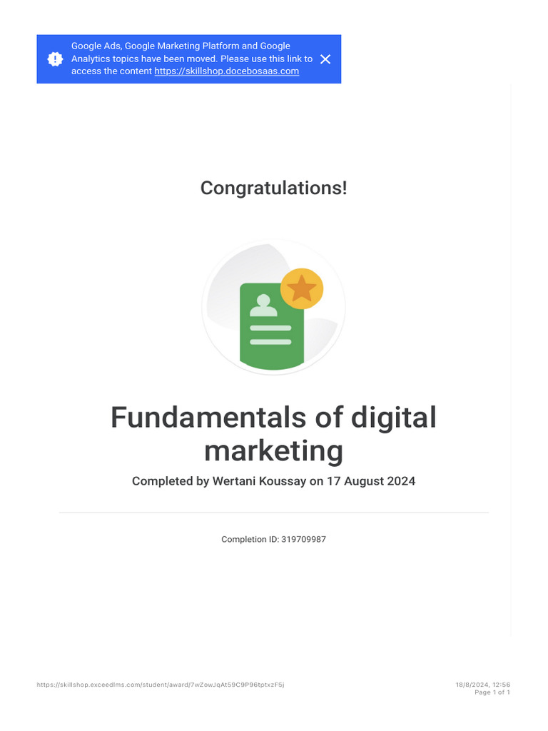 Fundamentals of Digital Marketing - Google | PDF