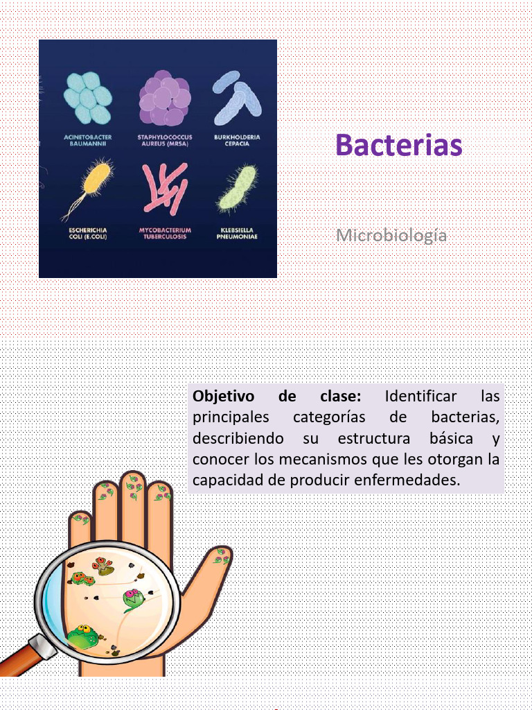 Clasificación y Patogenicidad de Bacterias | PDF | Las bacterias ...