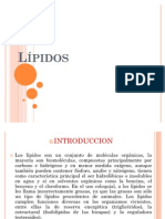 Lípidos