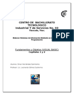 Fundamentos y Objetos (VISUAL BASIC)