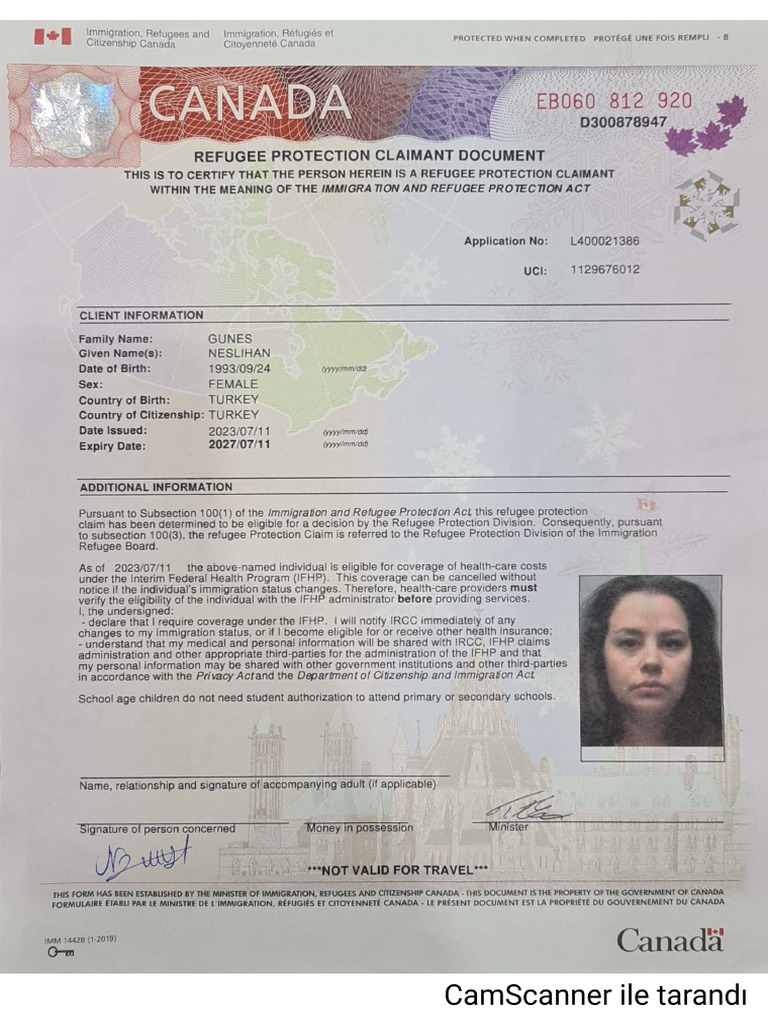 Neslihan Gunes | PDF