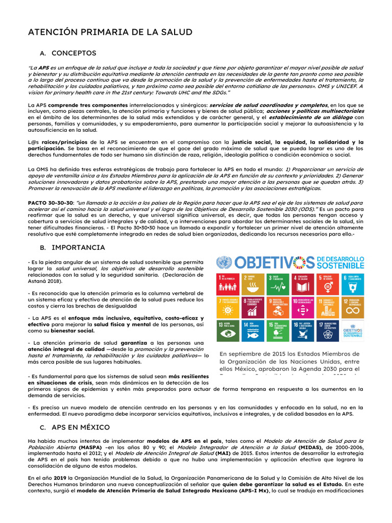 Importancia de la Atención Primaria de Salud | PDF | Cuidado de la ...